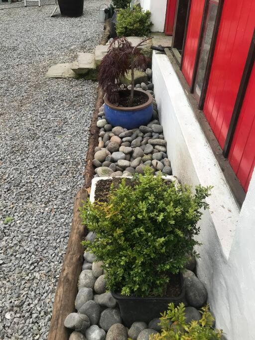 Stone Wall Cottage Castlewellan Buitenkant foto