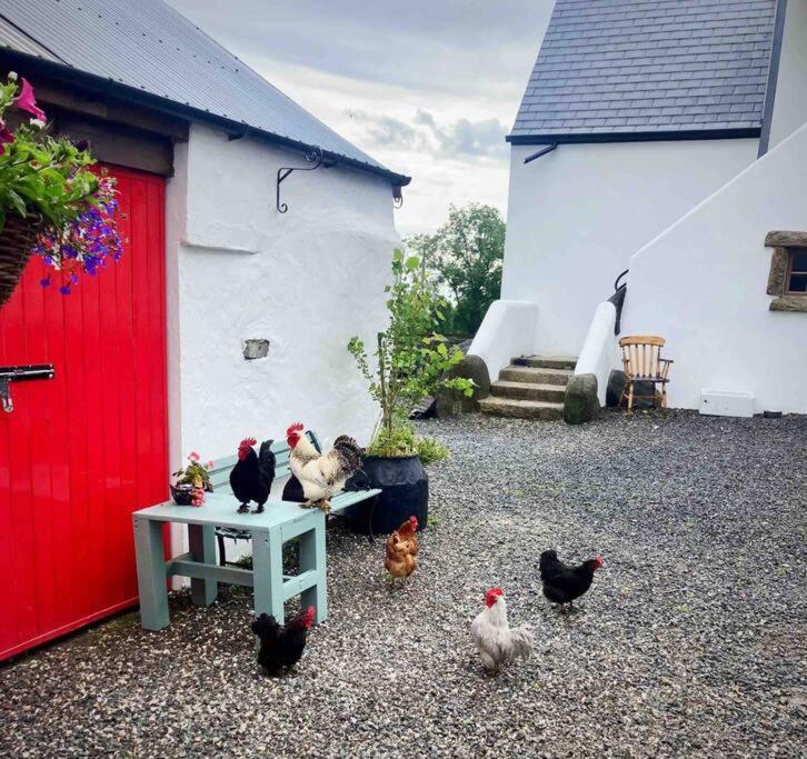 Stone Wall Cottage Castlewellan Buitenkant foto